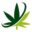 thecannabisweb.org