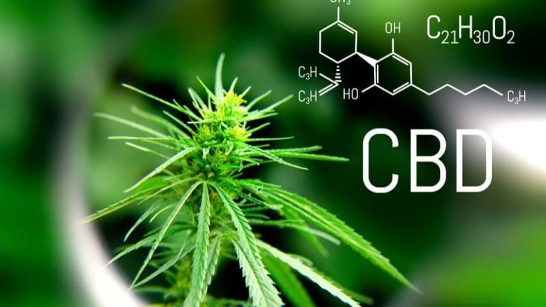 Qué Es El CBD. Beneficios, Formatos, Fines Terapeúticos Y Estudios