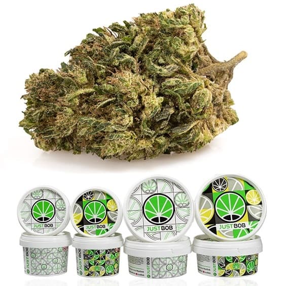 Comprar AK47 CBD BOOST JUST BOB Comprar AK47 CBD BOOST JUST BOB