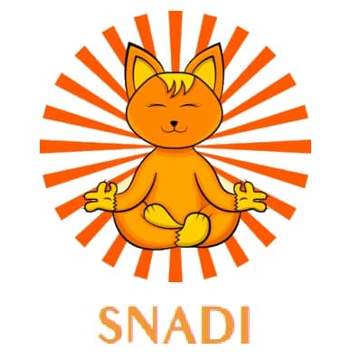 Comprar-productos-Snadi-CBD-300x300-1