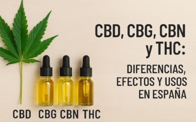 CBD, CBG, CBN y THC: Guía completa de diferencias, efectos y usos en España