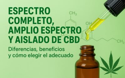 CBD de espectro completo, amplio espectro y aislado: ¿qué significan y cómo elegir el tuyo?