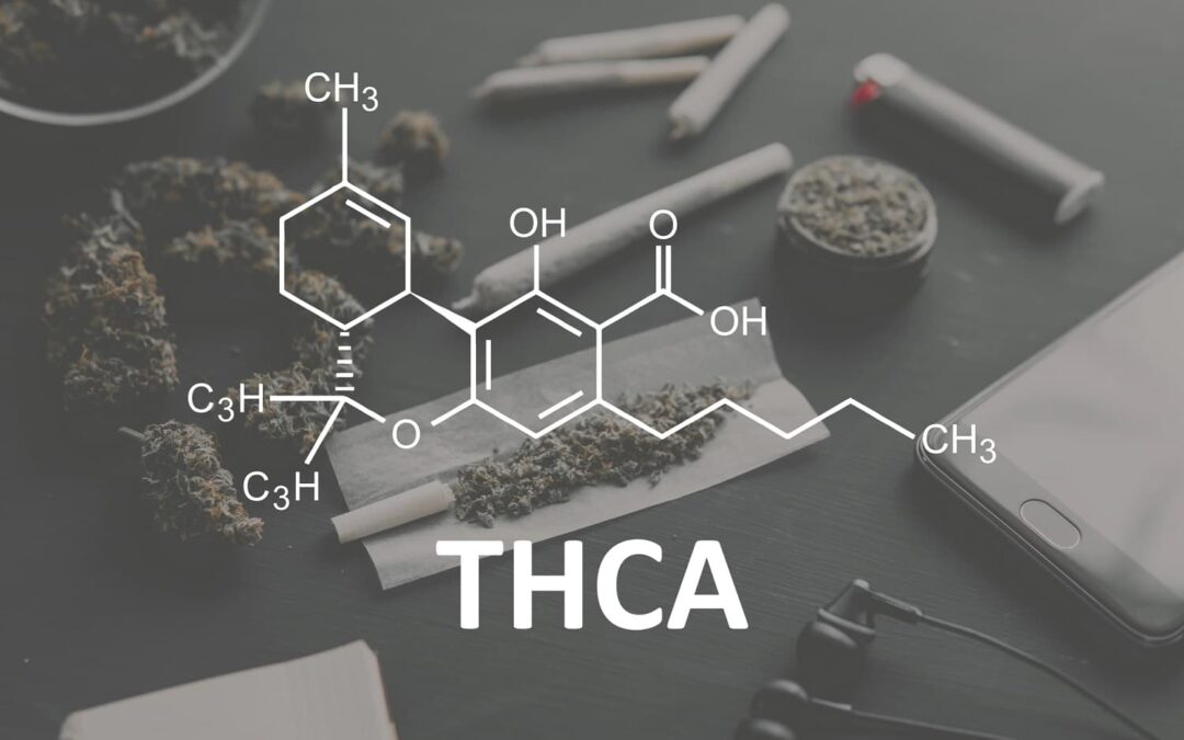 THCA y sus efectos: una cara menos conocida y sorprendente del cannabis