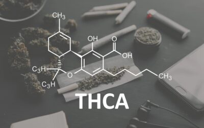 THCA y sus efectos: una cara menos conocida y sorprendente del cannabis