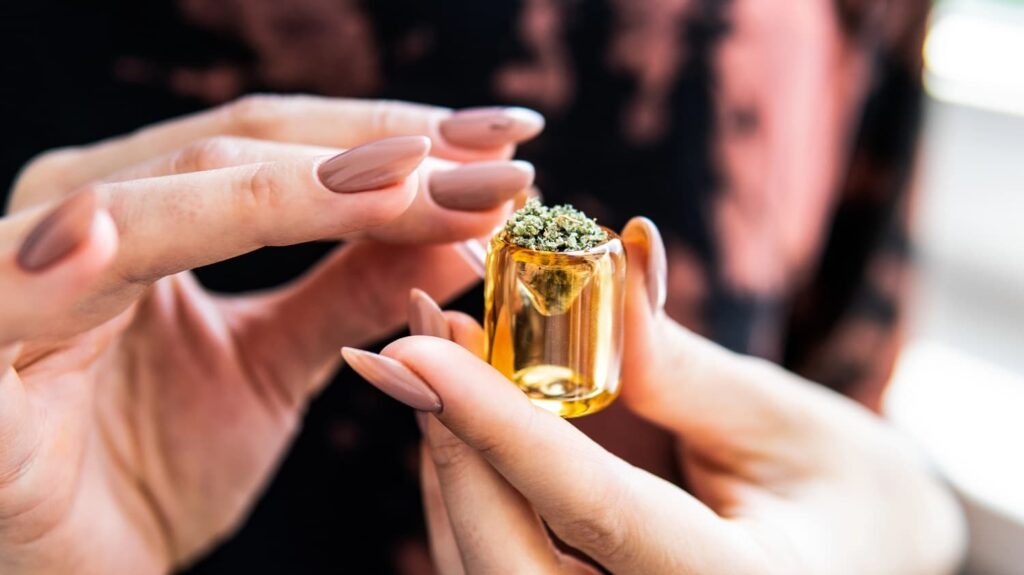 THCA que es y efectos blog thecannabisweb.org