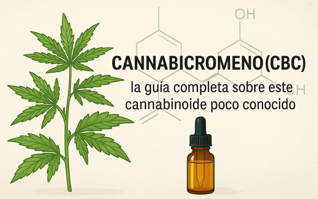 Cannabicromeno (CBC): Guía completa, qué es, efectos, evidencia y legalidad